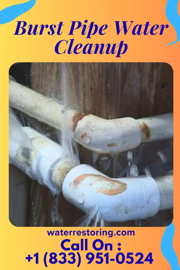 Burst Pipe Water Cleanup in Michiana, MI