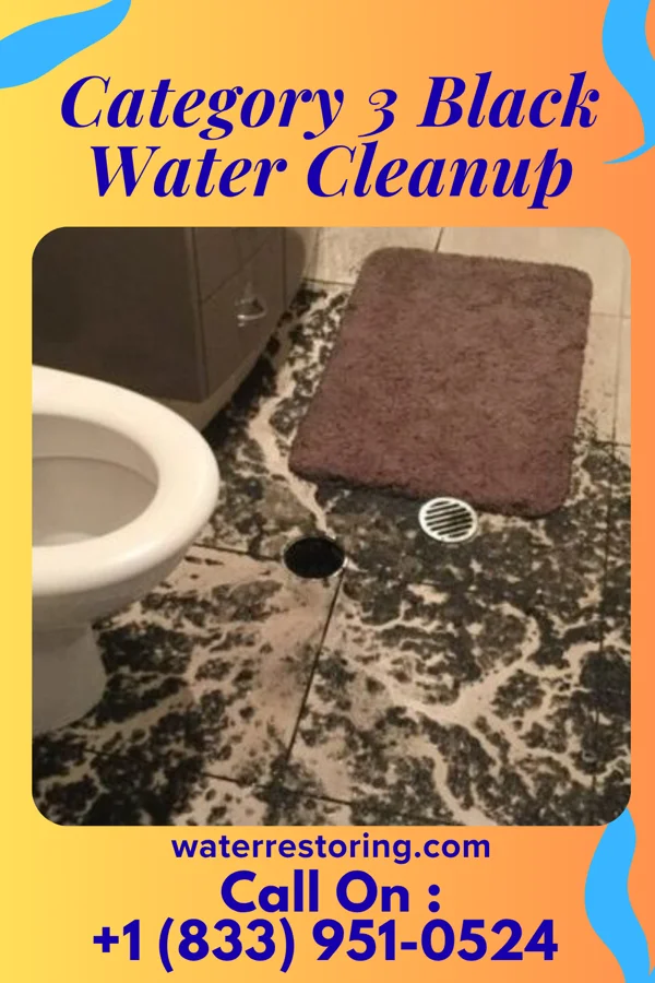 Category 3 Black Water Cleanup in Michiana, MI
