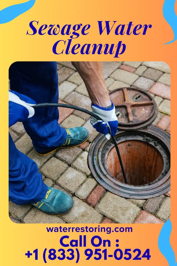 Sewage Water Cleanup in Michiana, MI